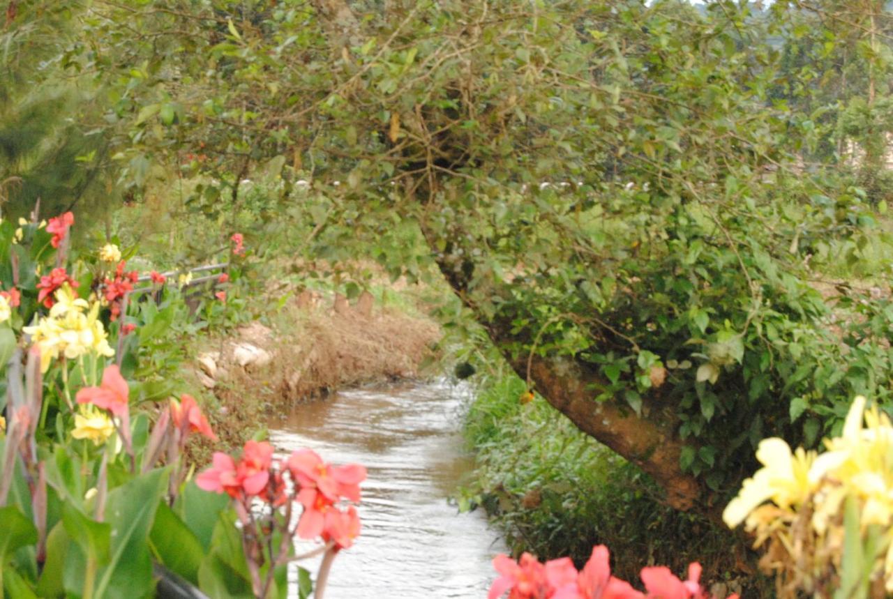 Riverside Resort Hotel Kabale Luaran gambar